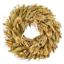 Artículo Tarjeta de corona seca cardos mijo amarillo verde oliva Ø28cm
