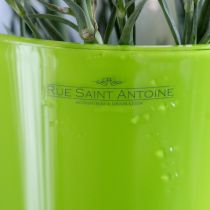 Artículo Jarrón Florero Verde Jarrón Decorativo Fizzy Olive Ø16.5cm H27cm