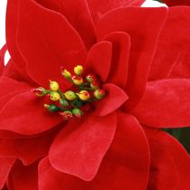 Artículo Poinsettia Estrella De Navidad Roja Artificial L55cm 2uds