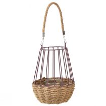 Artículo Farol con asa y cristal violeta natural Ø18cm H22cm