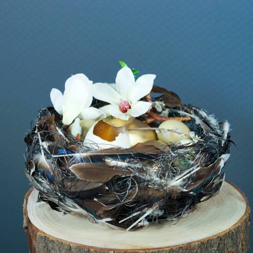 Floristik24 Plumas naturales 150pcs