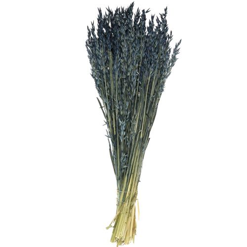 Artículo Flores secas, avena decoración de granos secos azul 68cm 230g
