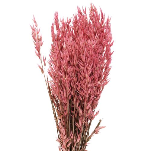 Artículo Flores secas, avena en grano seco decorativa rosa 65cm 160g