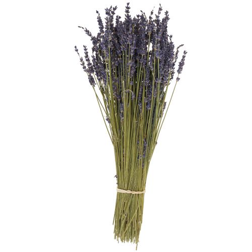 Floristik24 Manojo de lavanda seca, flor seca lavanda azul 38–40cm 90g