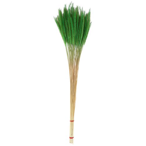 Artículo Mijo de cerdas verdes Setaria viridis hierba seca 52cm 28g