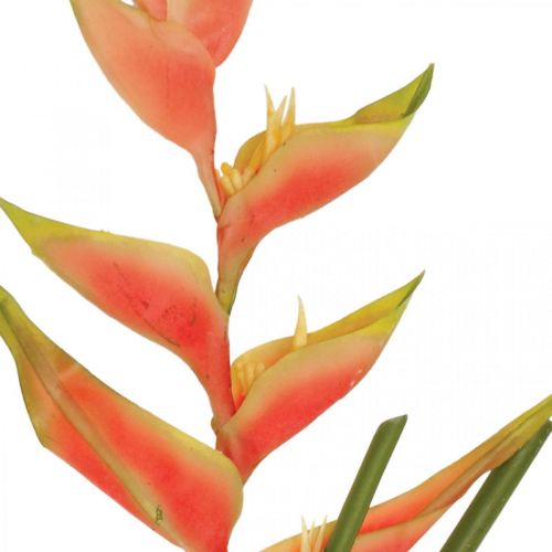 Artículo Heliconia artificial flores artificiales rosa exótica, verde H103cm