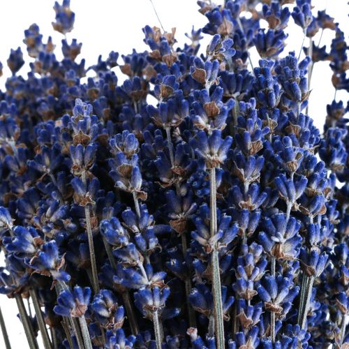 Artículo Manojo de lavanda seca flor seca azul 25cm 75g