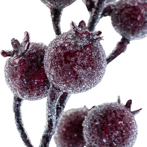Floristik24 Rosa mosqueta rama baya rama escarcha planta artificial rojo 25cm 12pcs