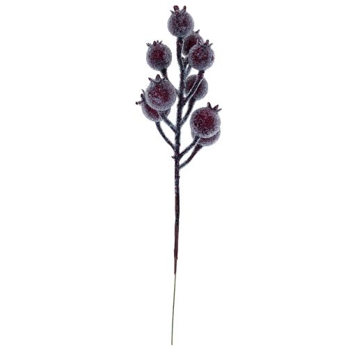 Floristik24 Rosa mosqueta rama baya rama escarcha planta artificial rojo 25cm 12pcs