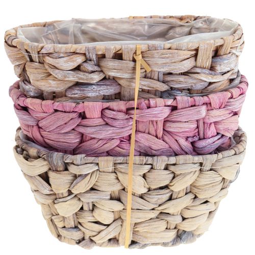 Artículo Cesta para plantas cesta de algas marinas macetero de jacinto de agua ovalado 20,5 cm 3 piezas