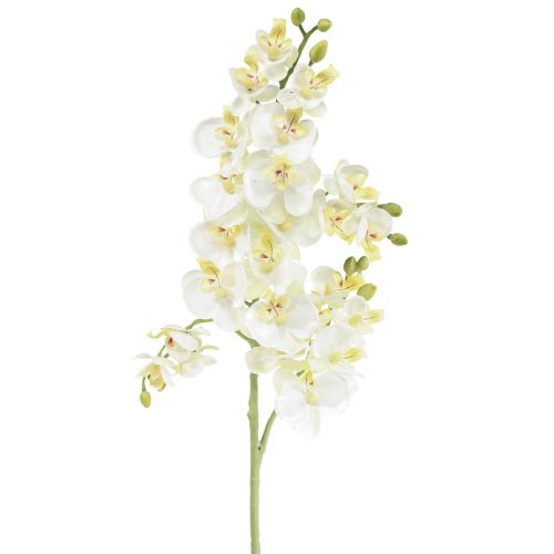 Floristik24 Phalaenopsis Orquídeas Artificiales Flores Artificiales Blancas 70cm