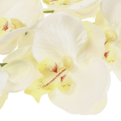 Floristik24 Phalaenopsis Orquídeas Artificiales Flores Artificiales Blancas 70cm
