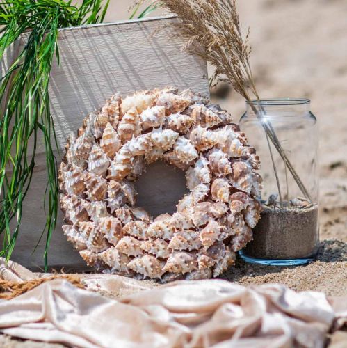 Floristik24 Corona deco caracoles Decoración marítima puerta corona caracoles de mar Ø25cm