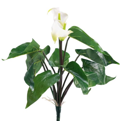 Floristik24 Cala Lily Kalla Flores Artificiales Flores Exóticas Blancas 34cm
