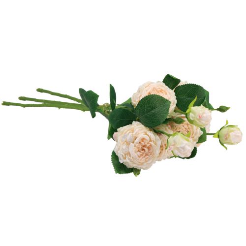 Artículo Rosas artificiales color crema, rosas artificiales de aspecto seco, 53 cm, 3 unidades