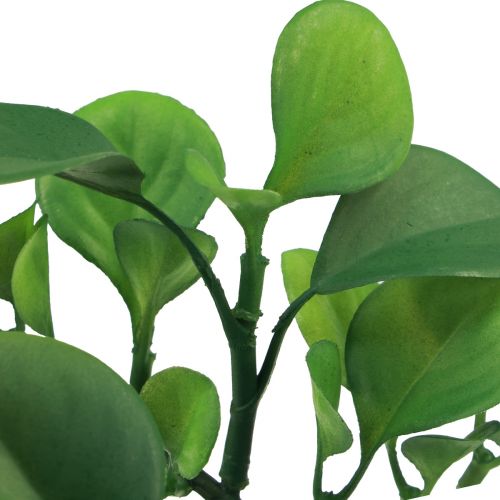 Floristik24 Planta verde artificial suculenta verde artificial Al. 14 cm