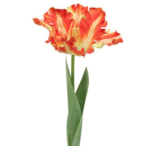 Artículo Flor artificial loro tulipán tulipán artificial naranja 69cm
