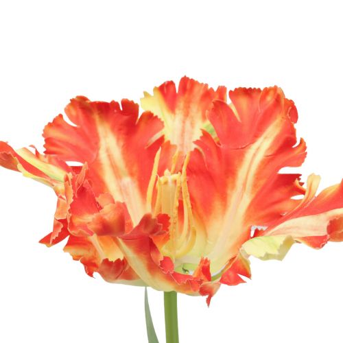 Floristik24 Flor artificial loro tulipán tulipán artificial naranja 69cm