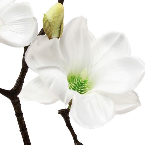 Floristik24 Flor artificial de magnolia, rama de magnolia artificial blanca, 58 cm, 3 unidades