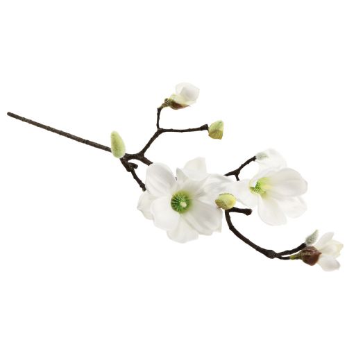 Floristik24 Flor artificial de magnolia, rama de magnolia artificial blanca, 58 cm, 3 unidades