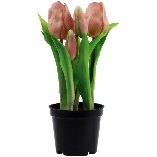 Floristik24 Tulipanes artificiales en maceta Tulipanes Flores artificiales melocotón 22cm