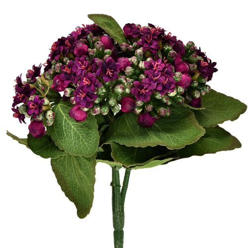 Artículo Flaming Käthchen Kalanchoe artificial violeta 24cm