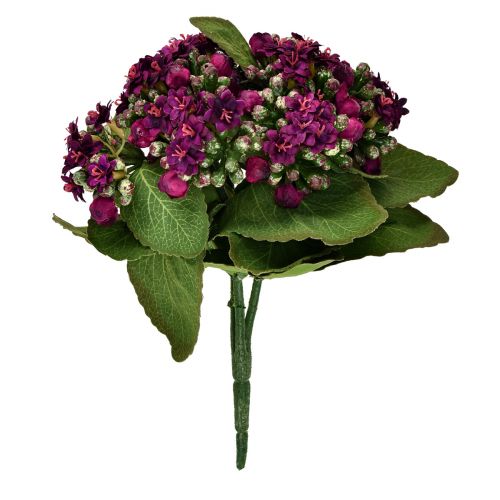 Artículo Flaming Käthchen Kalanchoe artificial violeta 24cm