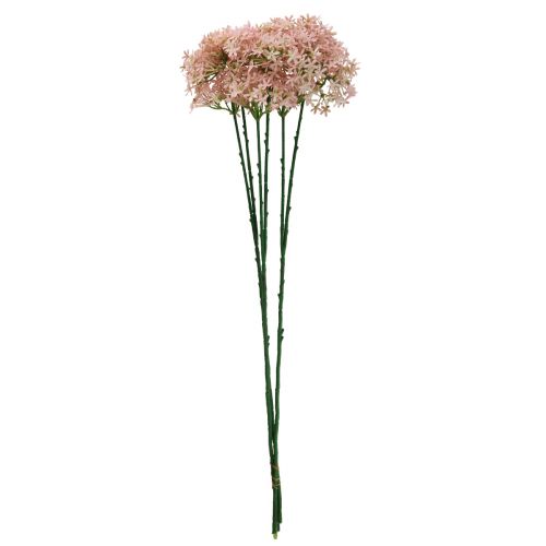 Floristik24 Flor decorativa Wild Allium artificial rosa 70cm 3ud