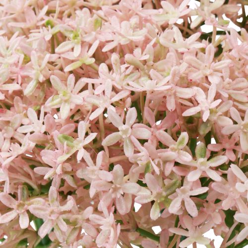 Artículo Flor decorativa Wild Allium artificial rosa 70cm 3ud