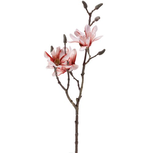 Floristik24 Rama de magnolia magnolia artificial salmón 58cm