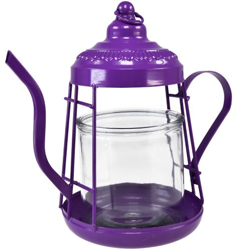 Floristik24 Portavelas farol de cristal tetera violeta Ø15cm H26cm