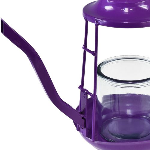 Artículo Portavelas farol de cristal tetera violeta Ø13cm H22cm