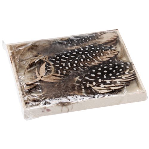 Artículo Colgante de plumas decorativo pluma natural de madera 9,5/10cm 9 piezas