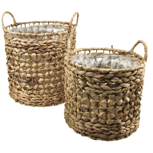 Floristik24 Cesta para plantas cesta de algas marinas jacinto de agua Ø31/26cm juego de 2