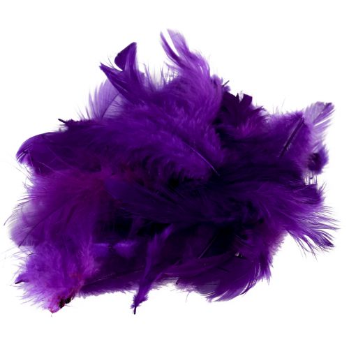Floristik24 Plumas decorativas pequeñas plumas de pájaros reales decorativas violeta 5-10cm 10g