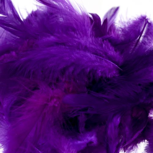 Artículo Plumas decorativas pequeñas plumas de pájaros reales decorativas violeta 5-10cm 10g