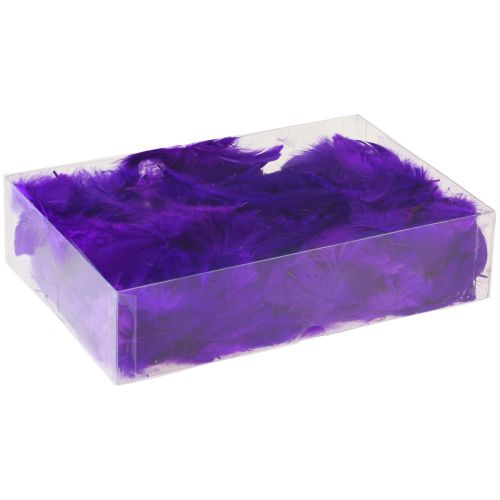 Artículo Plumas decorativas pequeñas plumas de pájaros reales decorativas violeta 5-10cm 10g