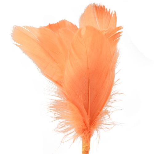 Artículo Plumas decorativas plumas de pájaro naranja en palo 36cm 12ud