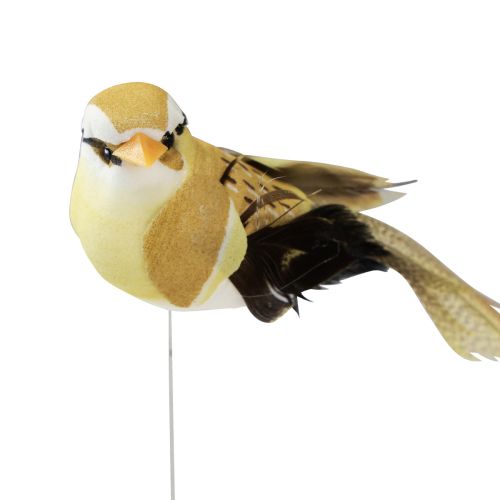 Floristik24 Pájaro de plumas sobre alambre pájaro decorativo con plumas verde 4cm 12 piezas