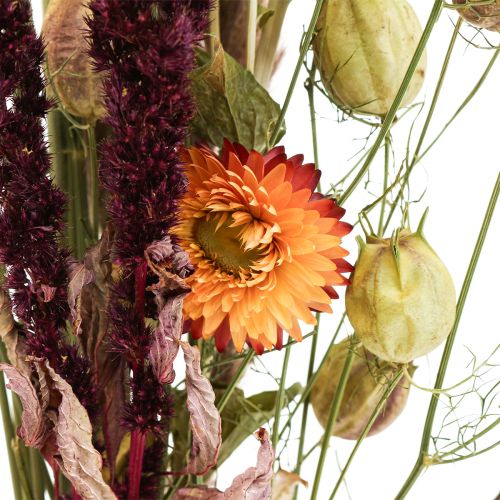 Artículo Ramo de flores secas flores de paja naranja violeta 55cm 70g