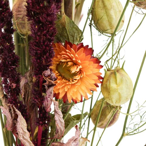 Floristik24 Ramo de flores secas flores de paja naranja violeta 55cm 70g