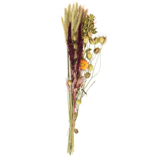 Floristik24 Ramo de flores secas flores de paja naranja violeta 55cm 70g