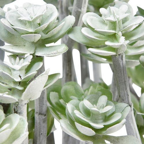 Artículo Suculentas artificiales de sagitaria, 16 cm, 4 unidades