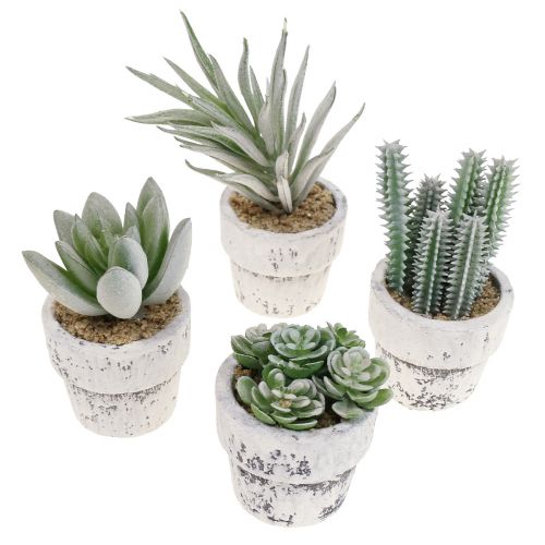 Floristik24 Suculentas artificiales en maceta plantas artificiales verde Ø4cm 12pcs