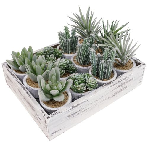 Floristik24 Suculentas artificiales en maceta plantas artificiales verde Ø4cm 12pcs