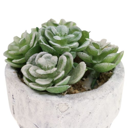 Floristik24 Suculentas artificiales en maceta plantas artificiales verde Ø4cm 12pcs