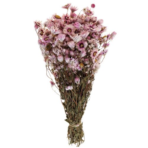 Floristik24 Flores de paja flores secas blanco rosa 20-35cm manojo 40g