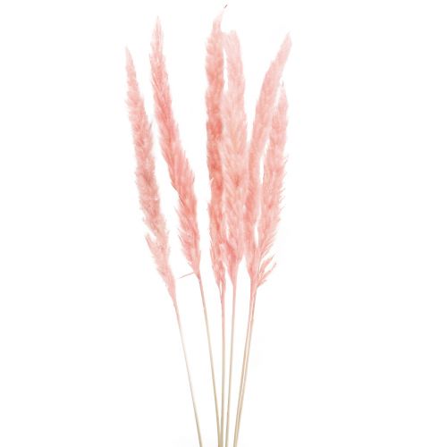 Decoración de hierba de la pampa, hierba de la pampa seca rosa 72cm 6 piezas