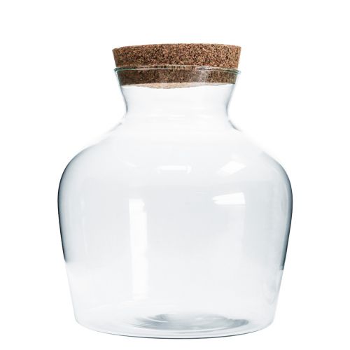 Floristik24 Vaso decorativo con corcho Florero decorativo claro bulboso Ø20cm H21cm