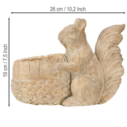 Artículo Jardinera con decoración de ardilla en piedra fundida 26×14×19cm